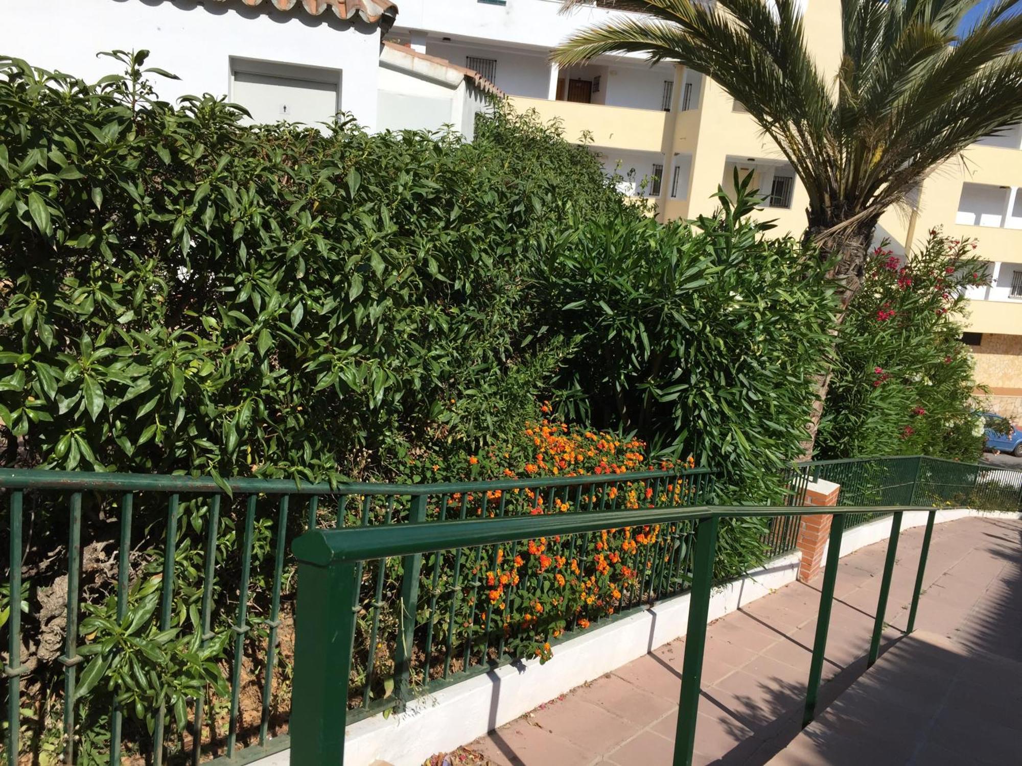 Apartament Stella Blanca 24B Fuengirola Zewnętrze zdjęcie