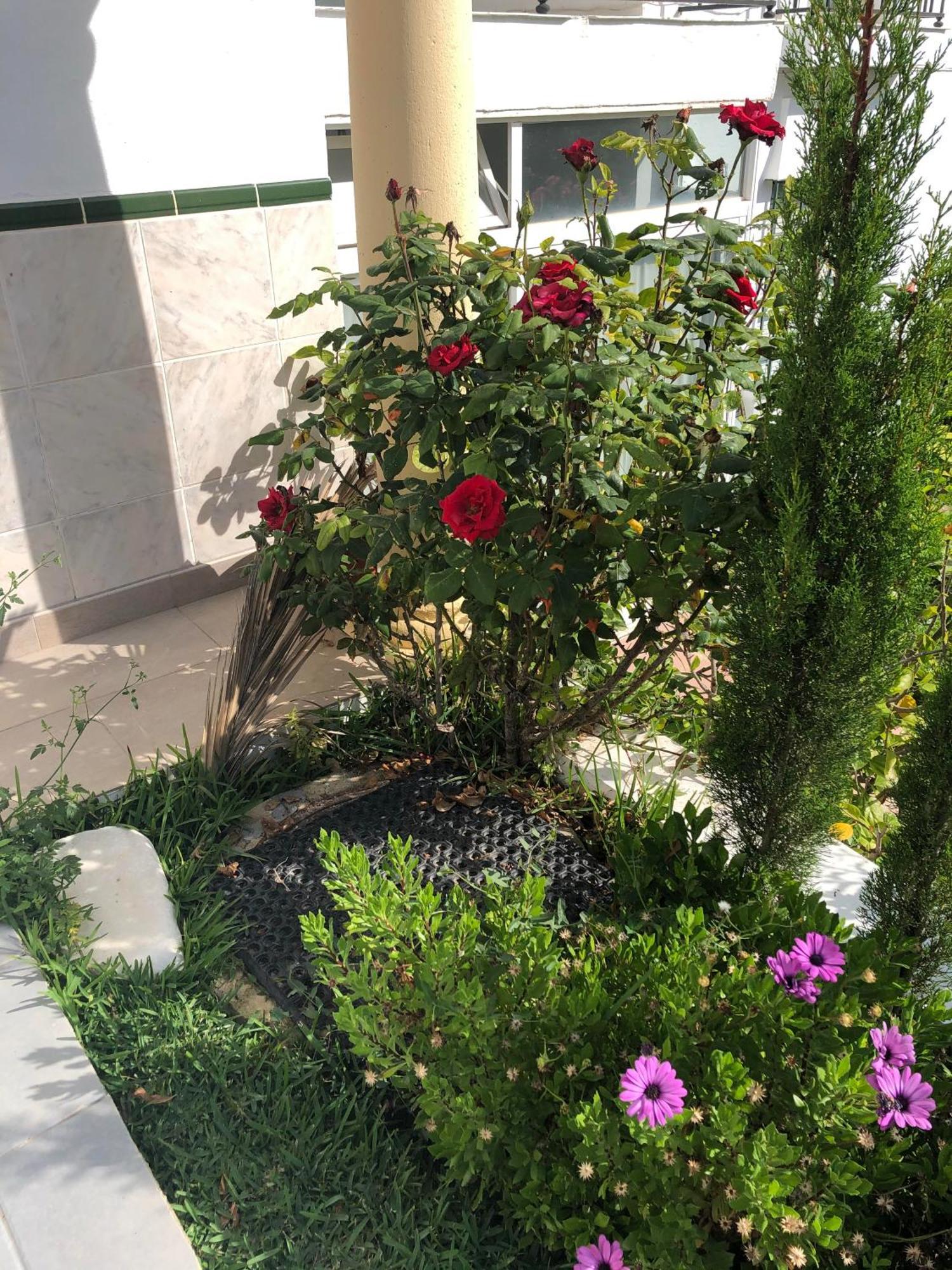 Apartament Stella Blanca 24B Fuengirola Zewnętrze zdjęcie
